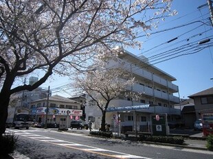 コーポ新川の物件外観写真